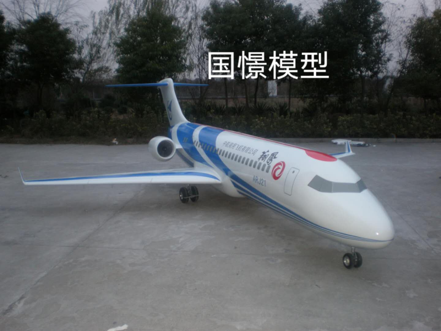 苍南县飞机模型
