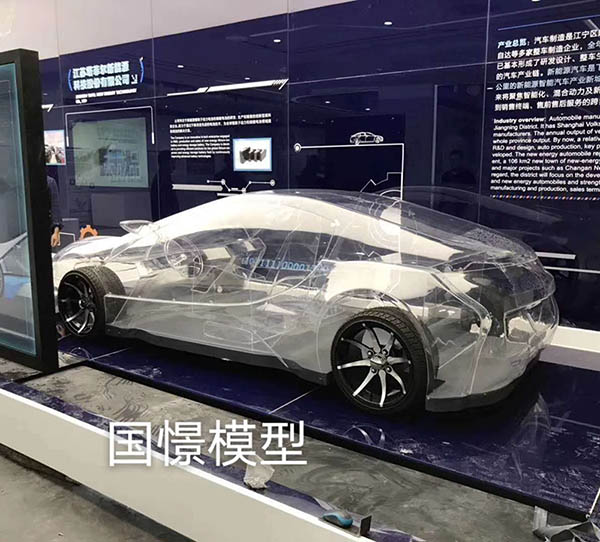 苍南县透明车模型